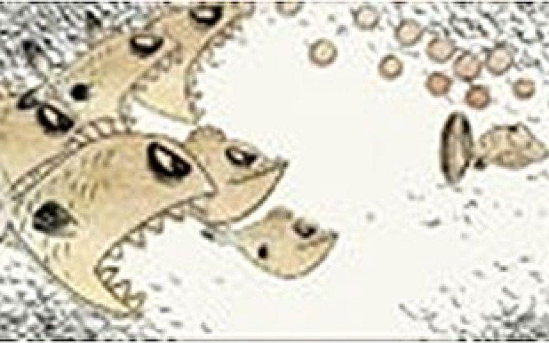 公視回首台灣報業系列–眾聲喧譁 各擁其主